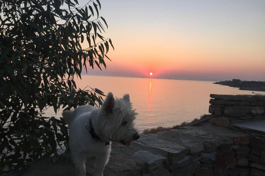 Sunset Villa With Swimming Pool At Tzia Ligia  외부 사진